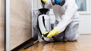 Best Termite Inspection and Treatment  in Wona Lake, IN